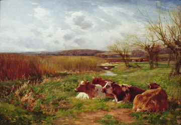 Auf der Wiese